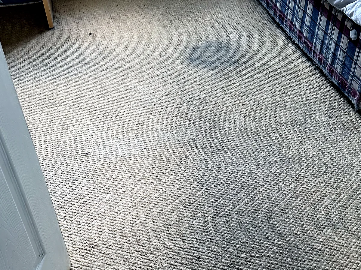 Before bedroom carpet cleaning with visible marks