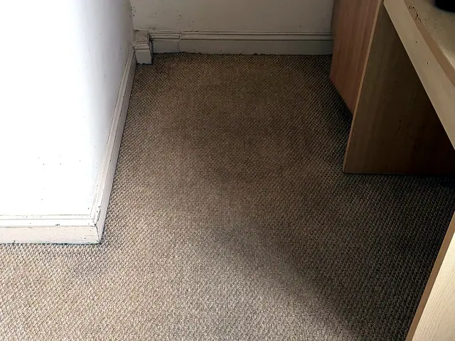 Clean carpet edge in an empty room