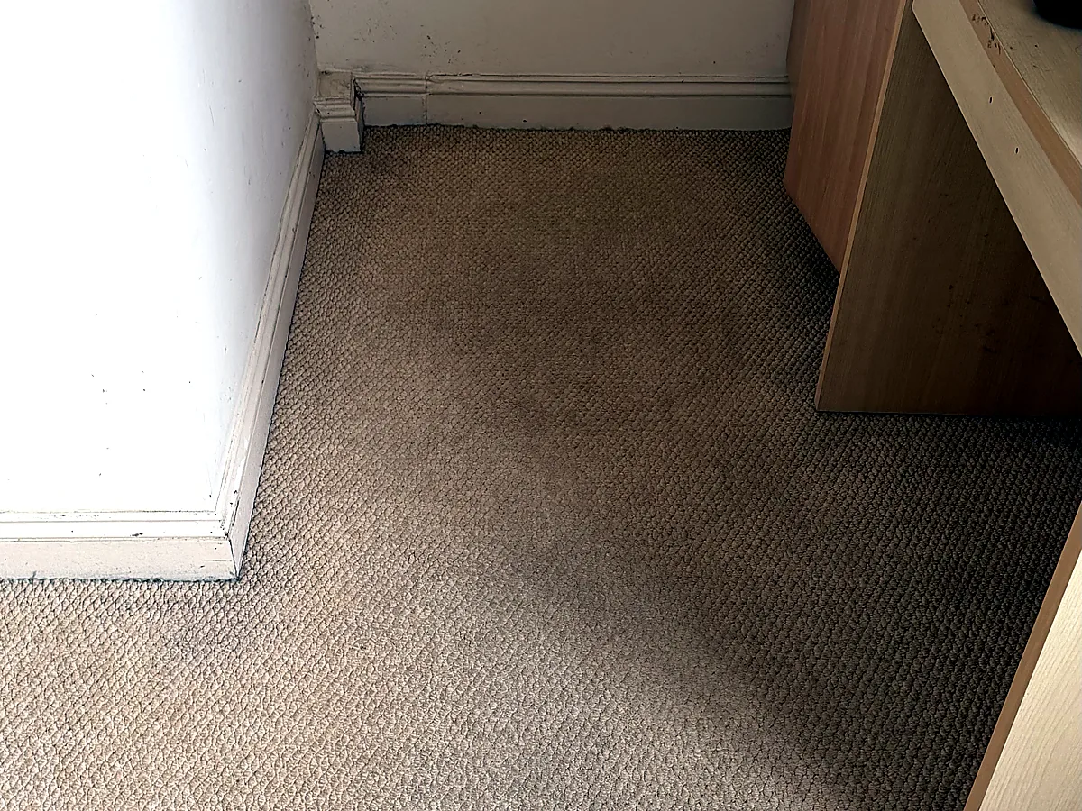 Clean carpet corner in an empty room