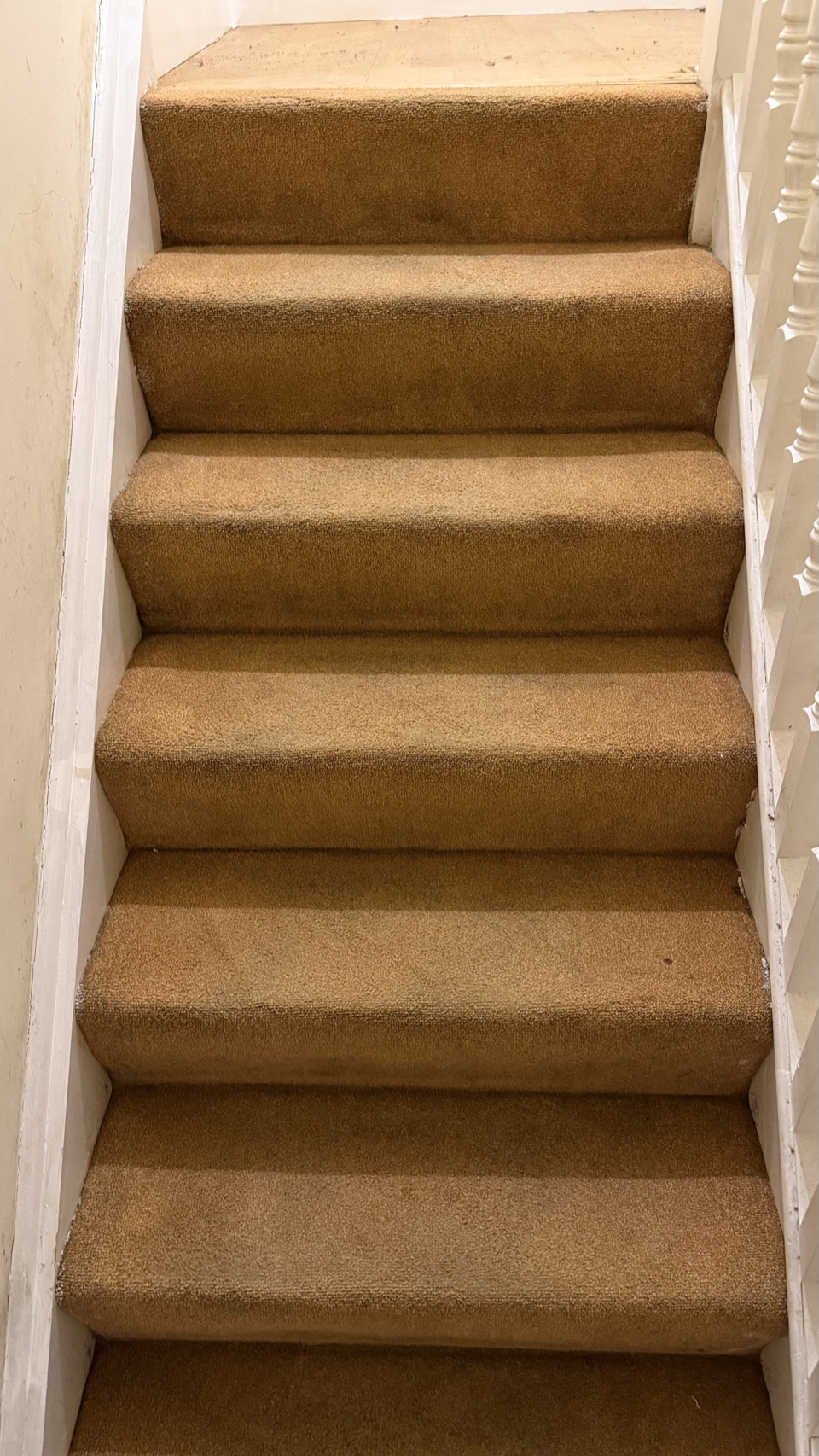 Carpeted stairs photographed during a real Pureline carpet cleaning service in Limerick