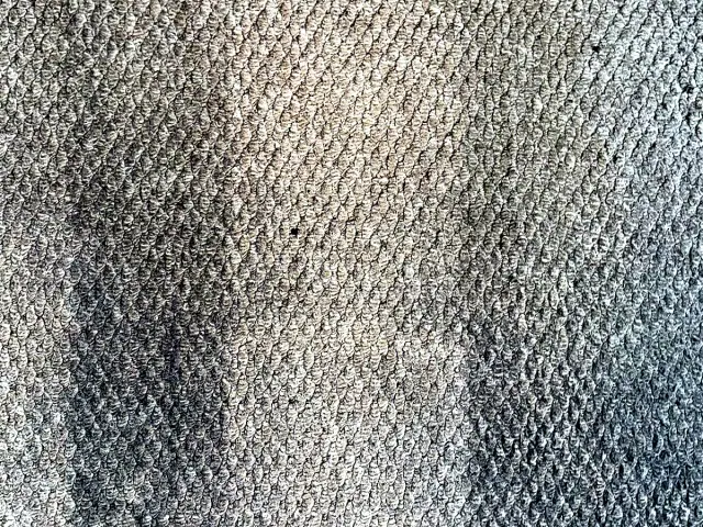 Professional cleaning equipment on carpet