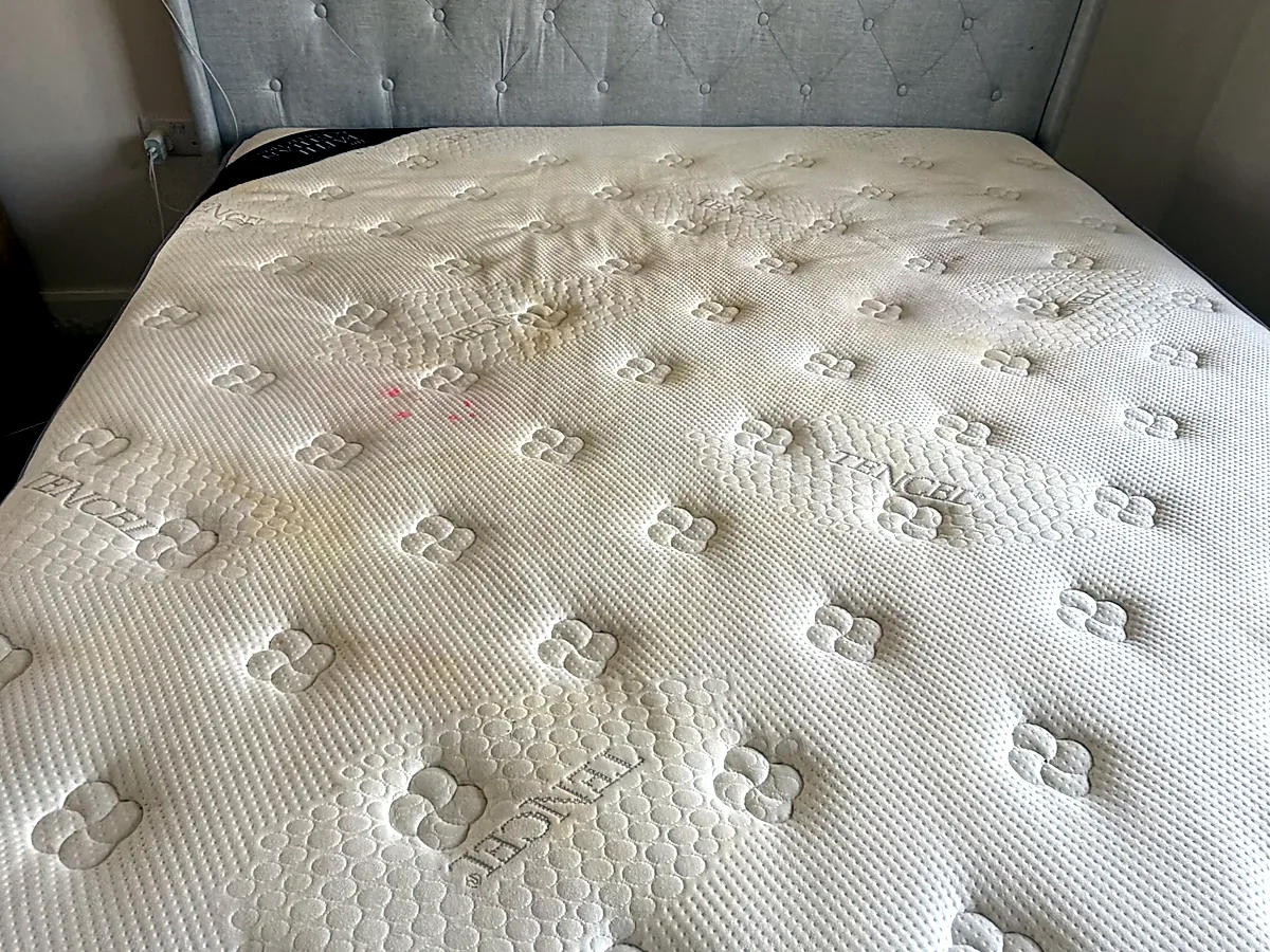 Premium mattress cleaning by Pureline