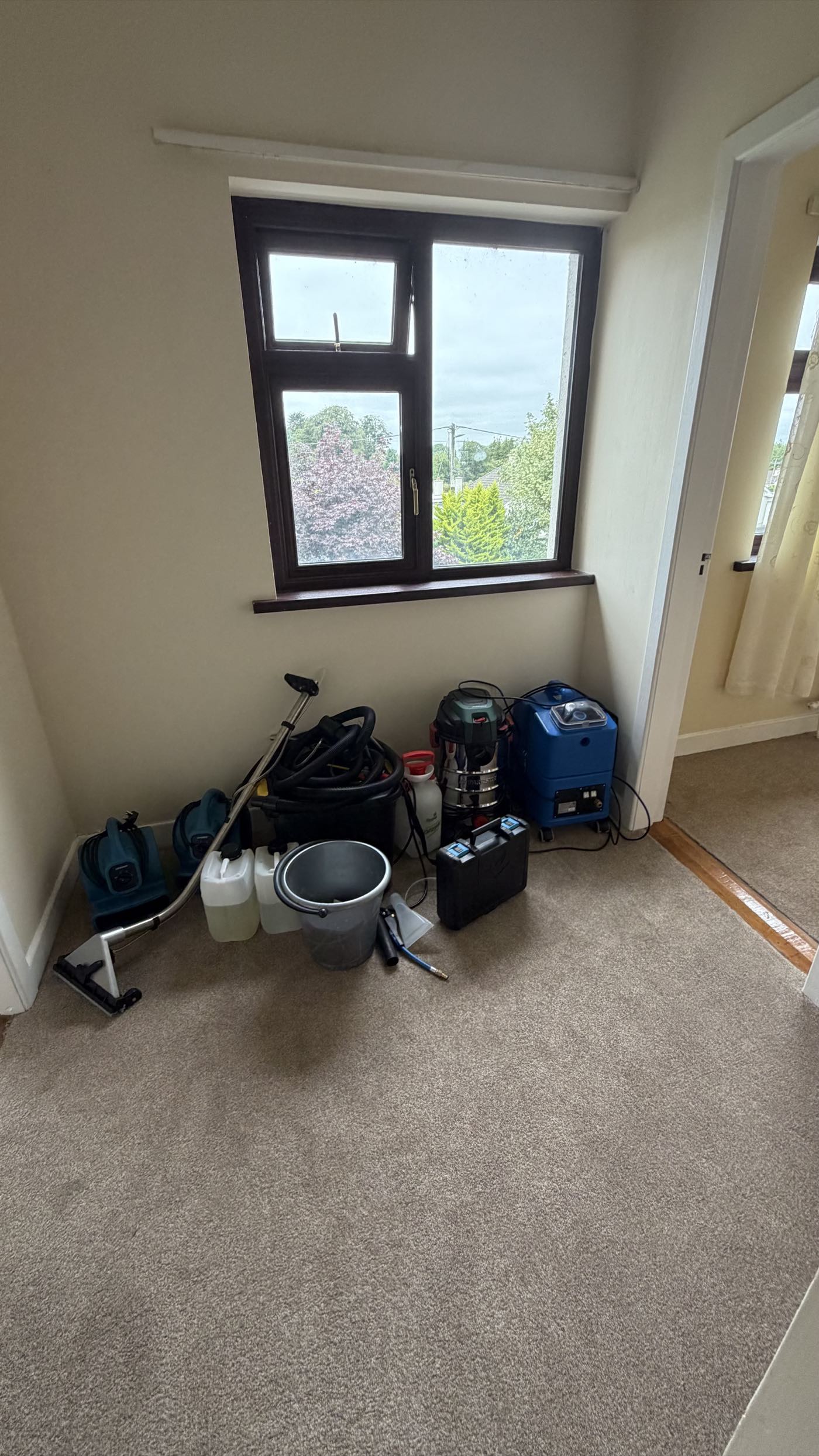 Professional carpet and upholstery cleaning equipment used by Pureline Cleaning