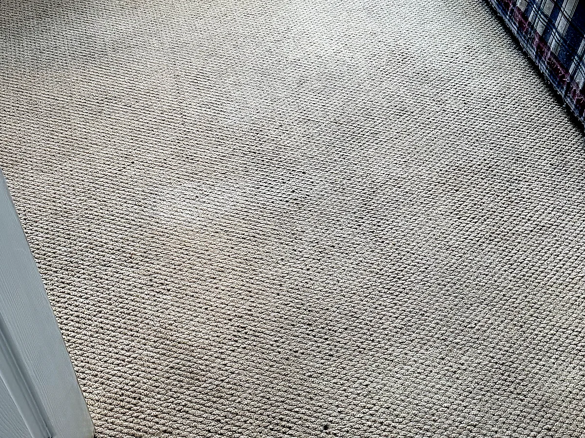 Clean textile floor area after cleaning