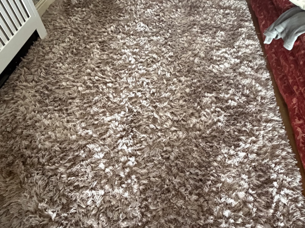 Premium rug cleaning by Pureline