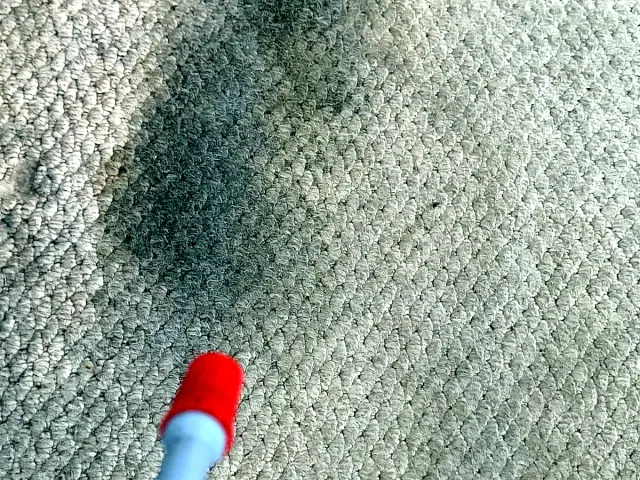 Close stain treatment on carpet