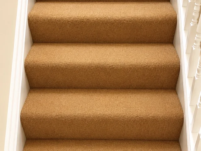 Stair carpet after professional cleaning