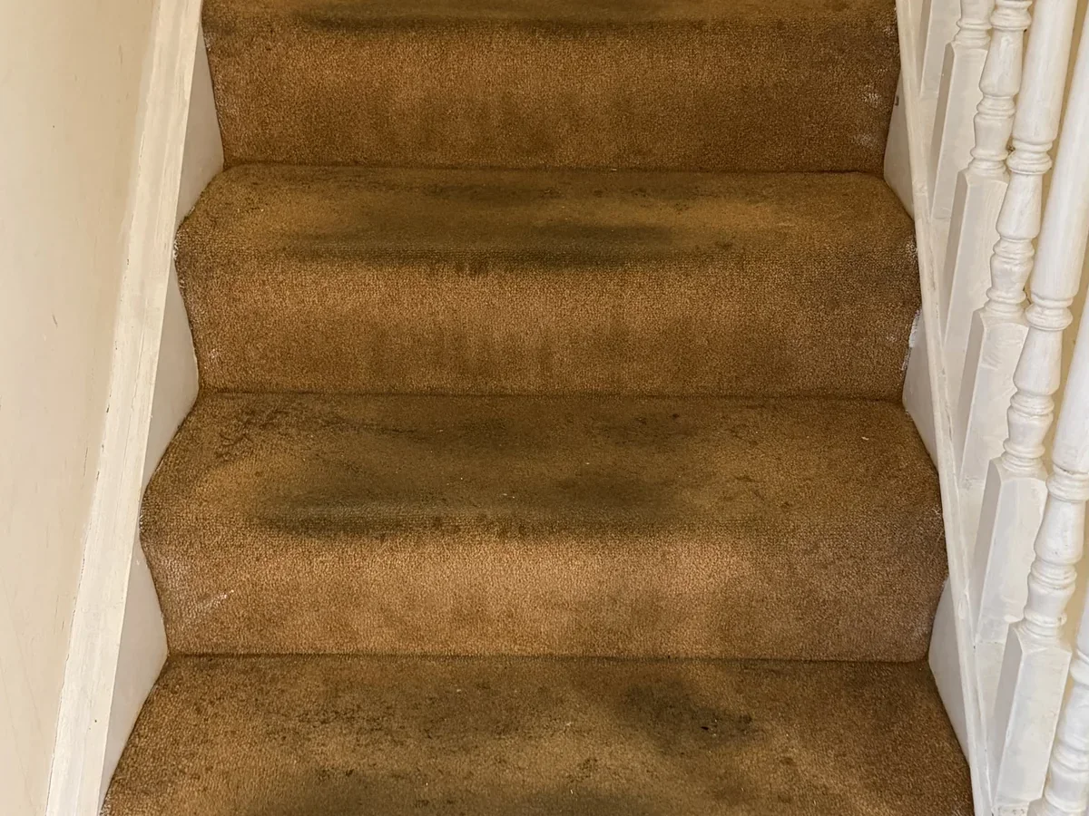 Before stair carpet cleaning with traffic marks